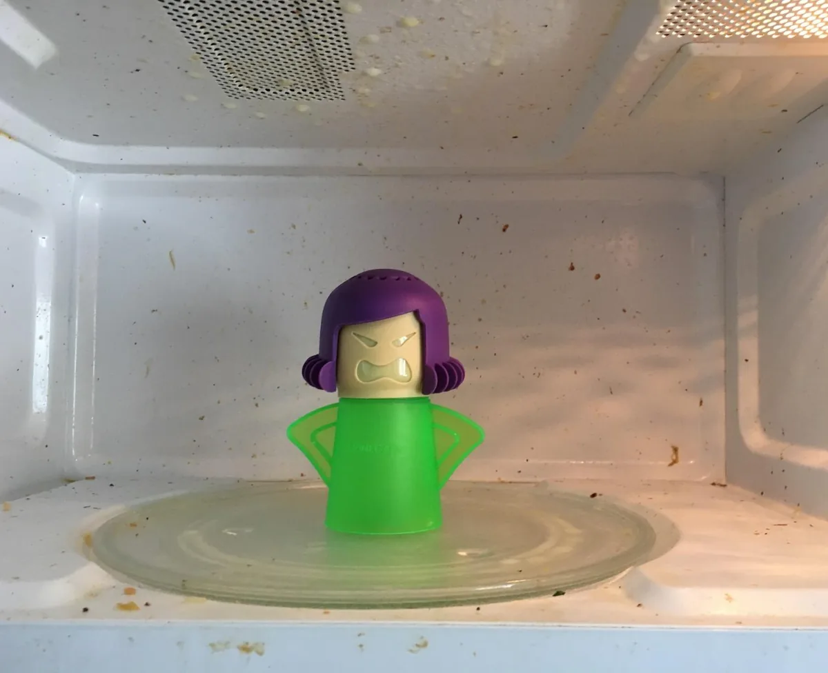 Angry Mama steam cleaner sitting inside a splattered microwave
