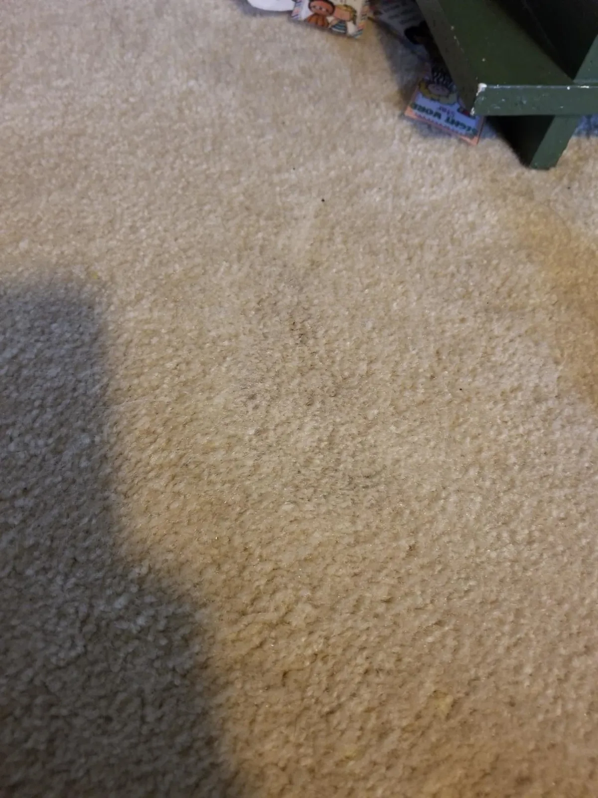 Beige carpet looking clean after a pet stain was treated with odor eliminator spray
