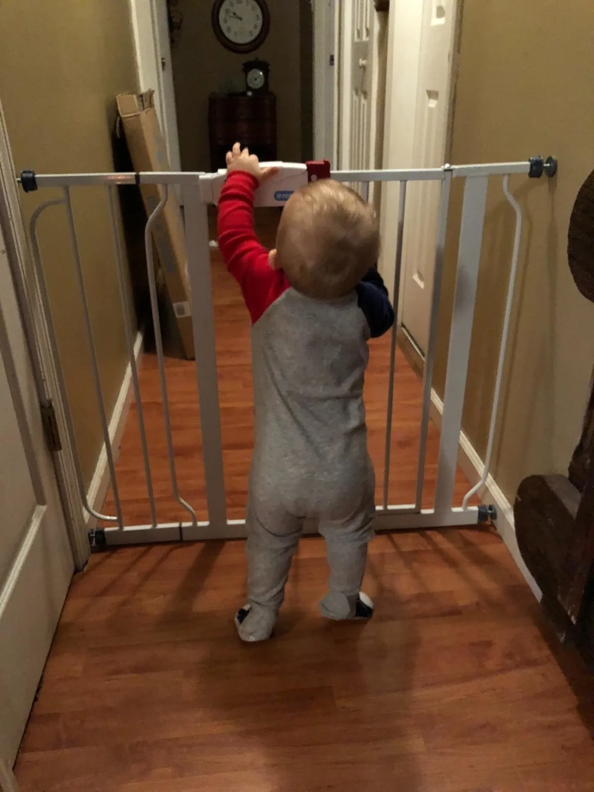 Toddler standing at a white walk-through baby gate in a hallway