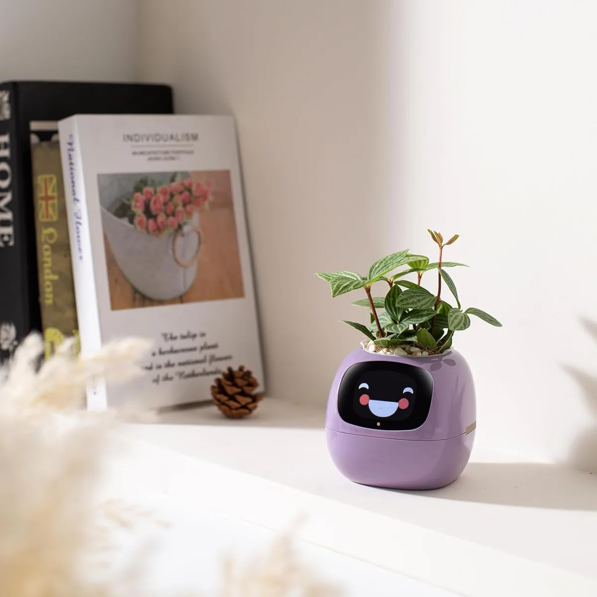 Smart planter with an expressive face display and a leafy plant inside