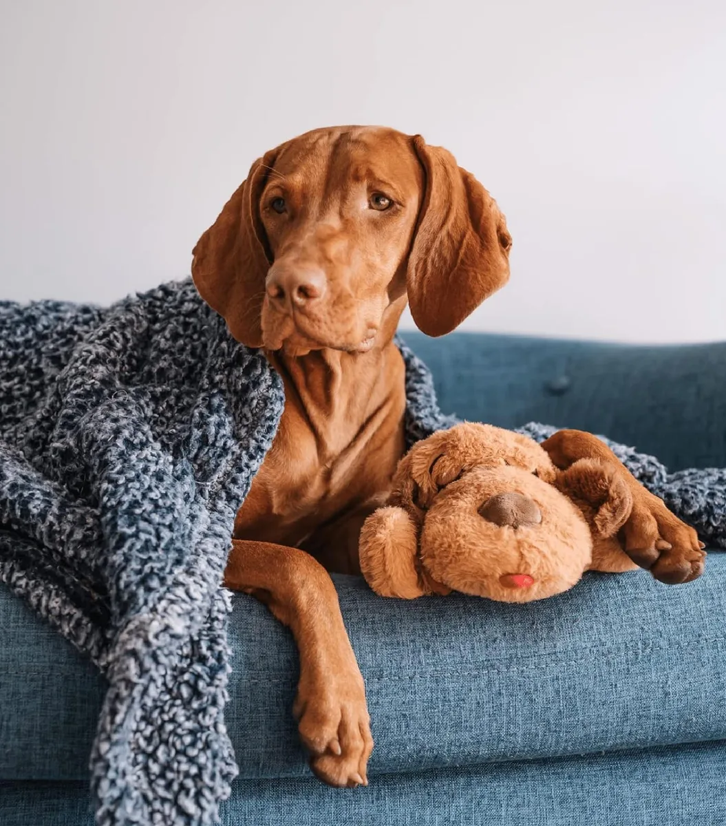 Snuggle Puppy Heartbeat Toy
