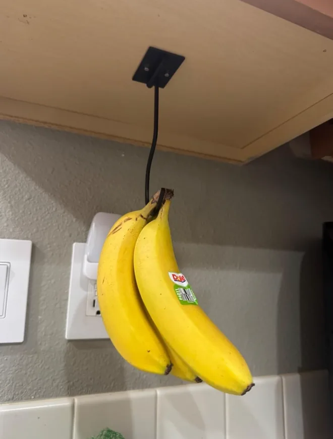 Bananas hanging from a hook mounted under a kitchen cabinet
