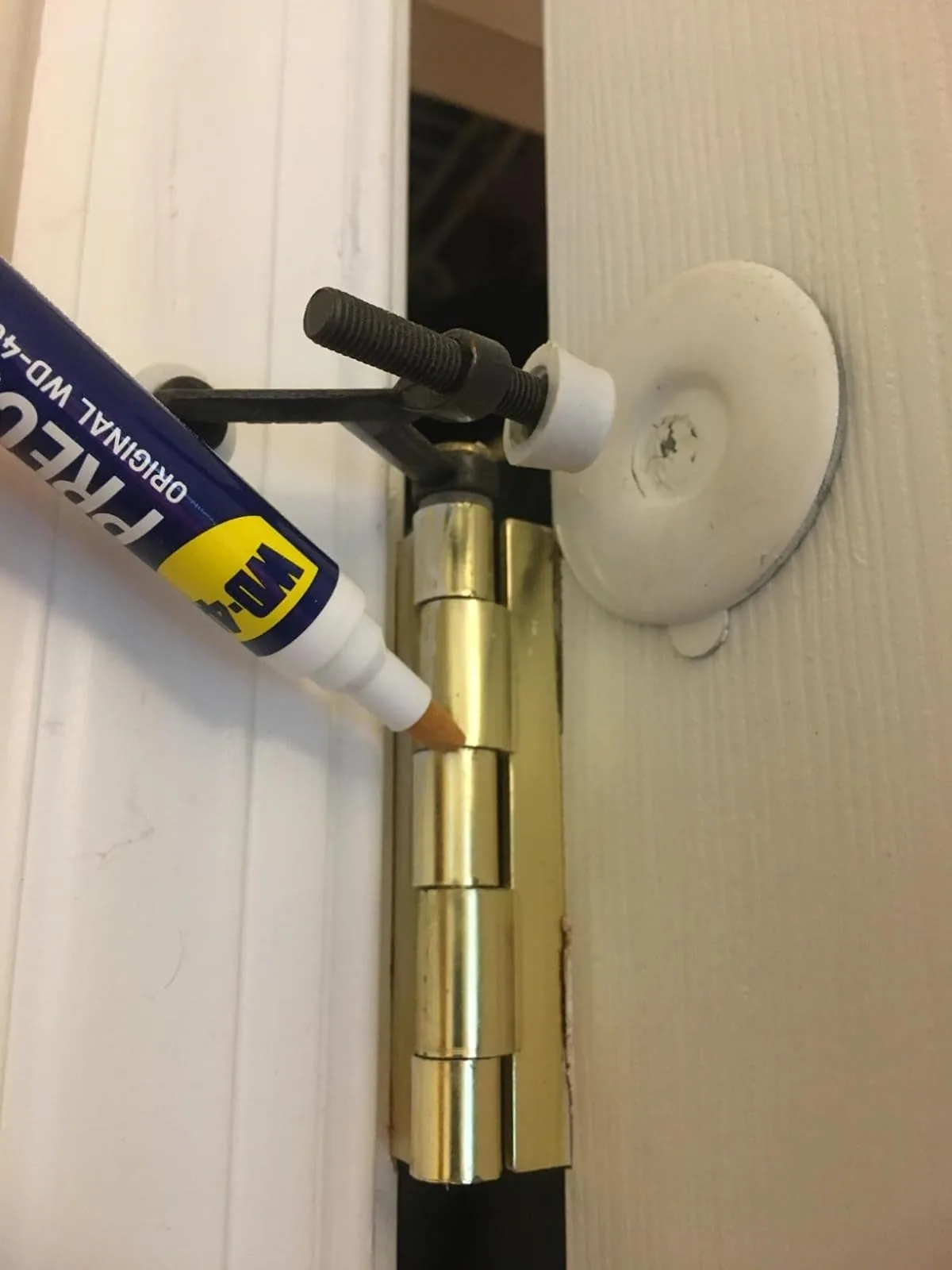 WD-40 precision pen applied to a squeaky door hinge